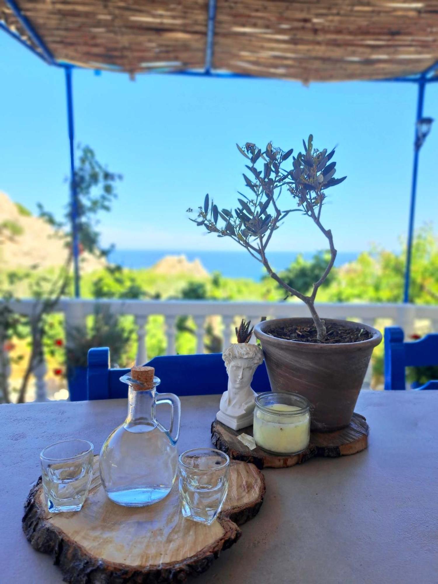 Aegean Serenity - Sea View Retreat Archangelos  Ngoại thất bức ảnh