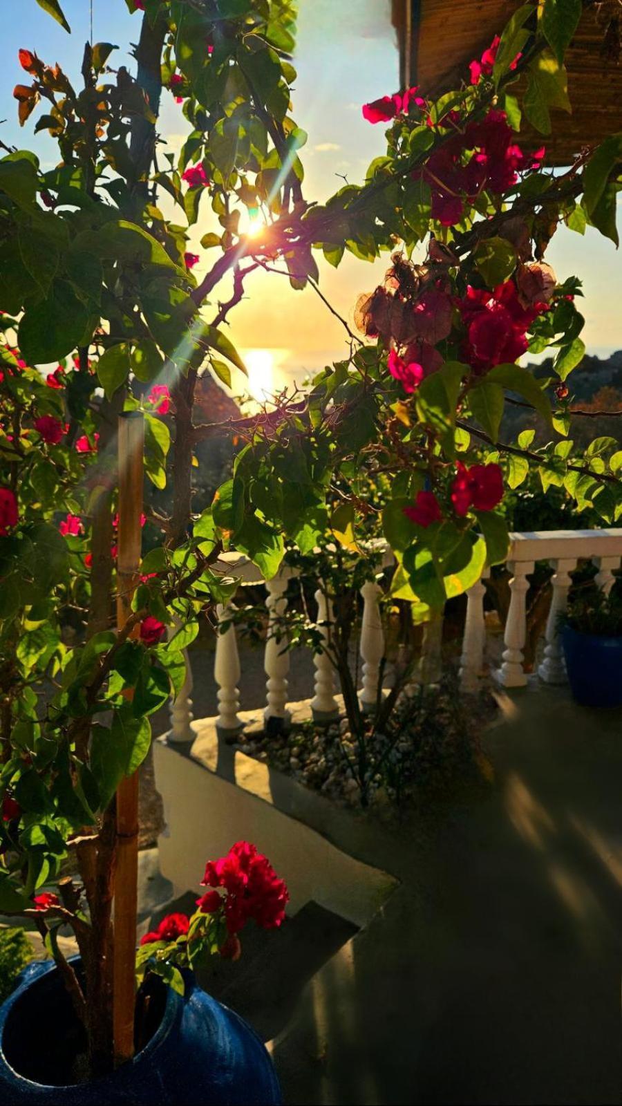 Aegean Serenity - Sea View Retreat Archangelos  Ngoại thất bức ảnh